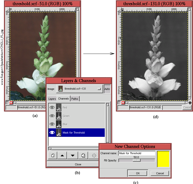 Figure 4.43