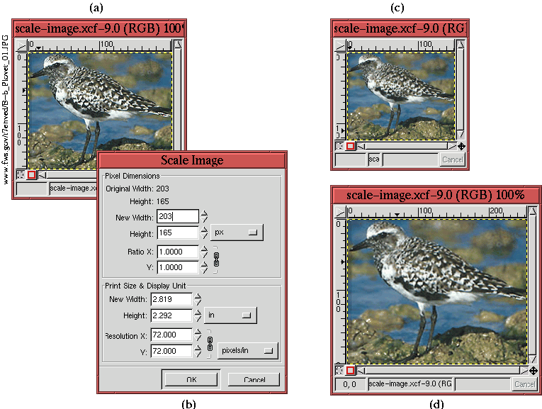 Figure 2.15