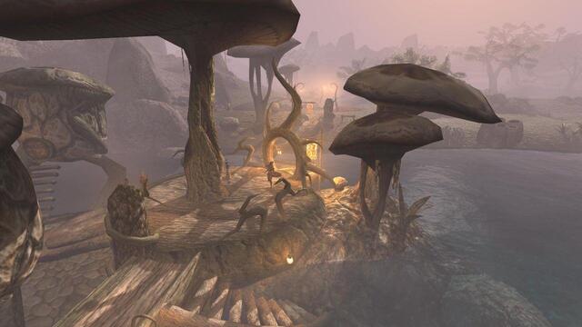 [The Elder Scrolls III: Morrowind (with OpenMW engine)]